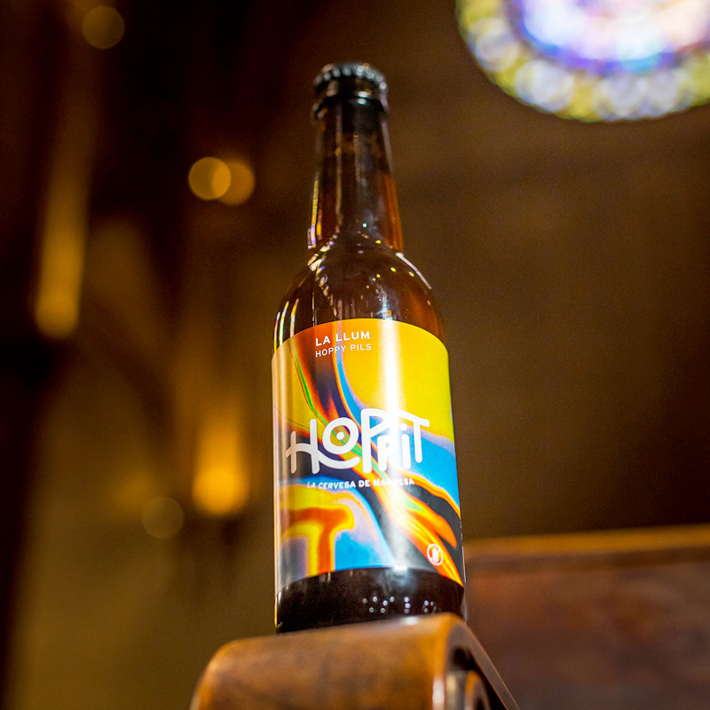 CERVEZA ARTESANA LLUM 33cl